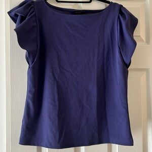 Ann Taylor Deep Purple Blouse